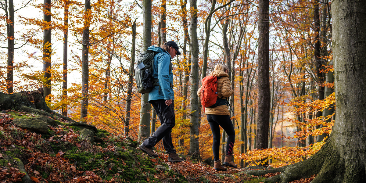 il cammino del vulcano Amiata